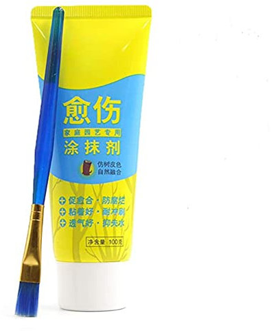 Wination Pâte à greffer pour bonsaï - Agent cicatrisant efficace pour les plaies - 100 g - Avec brosse