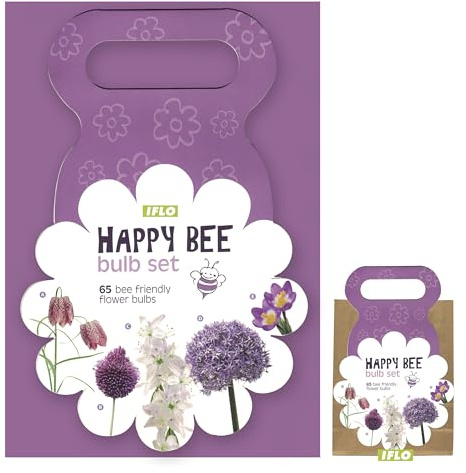 Blumenzwiebeln Mix in Geschenkverpackung, viele botanische Sorten Blumenzwiebeln Frühblüher für Schmetterlinge und Bienen für idyllisches und buntes Beet im Garten - PREMIUM (Happy Bee lila)