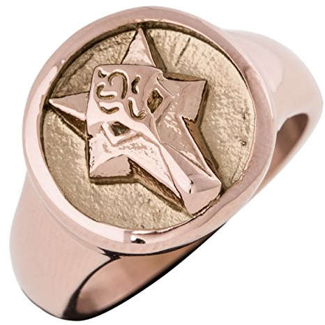 Akitsune Ferus Ring | Fuchs Design-Ring Frauen Herren Siegelring Edelstahl - Rosegold - US 7