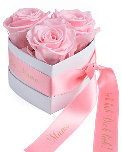 ROSEMARIE SCHULZ Heidelberg Rosenbox Herzform Geschenk zum Muttertag Blumen 3 konservierte Rosen Satinband und Spruch (Rosa, 3 Rosen Mama, ich hab Dich lieb)