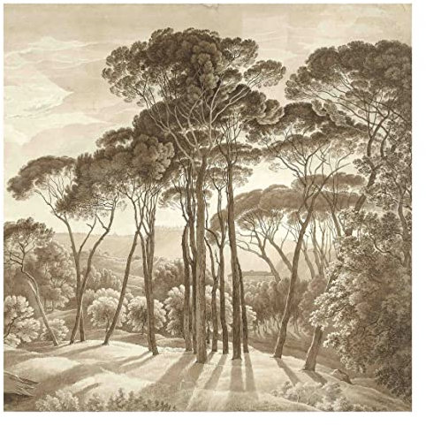 Fototapete - Hendrik Voogd Landschaft mit Bäumen in Beige, Material: Vlies Smart, Größe HxB: 288x288 cm