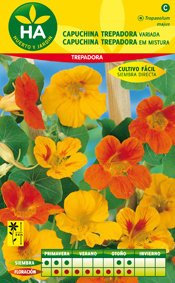 SEMILLAS FLOR CAPUCHINA TREPADORA SOBRE