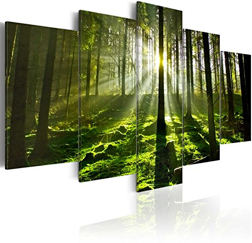B&D XXL - Tableau décoratif moderne 100x50 cm - Impression sur toile colorée - Décoration murale pour salon et chambre - Arbres paysage forêt feuilles nature paysage plantes soleil vert 030213-32