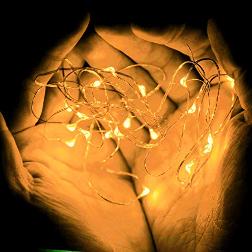 ERGEOB 2 stück 20 LED/ 2 Meter Knopfbatterie Lichterketten super helle Farben Micro LED Ultra Thin String Silberdracht Lichterketten