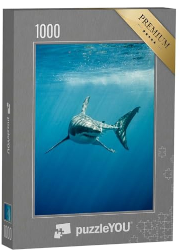 puzzleYOU: Puzzle 1000 Teile „Weißer Hai im blauen Ozean“ – aus der Puzzle-Kollektion Haie, Raubtiere, Fische & Wassertiere
