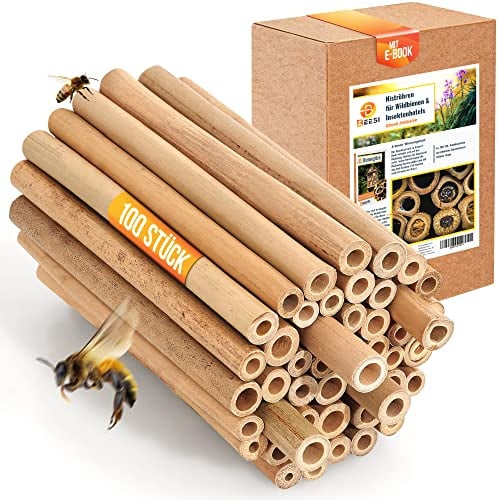 BEESI Lot de 100 tubes en bambou pour hôtel à insectes, 14 cm de long, bambou pour hôtel d'abeilles, matériau de remplissage, accessoires d'abeilles sauvages