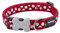 Red Dingo Nylon Hundehalsband, weiße Punkt an rot, M (DC-S5-RE-20)