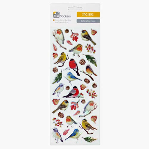 Garden Bird Stickers for Children, Kids, Toddlers, Adults - Scrapbook Craft Decorating Activities and Party Bag Filler Favours - Fun Cool Cute Sticker Pack for Boys Girls