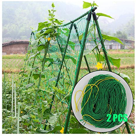Bestjing Garden Plants Climbing Trellis Netting Plant Support Vine Net Grow Net Holder Garden Netting Protect Anti Bird Netting,Climbing Garden Trellis Net for Fruits Vegetables Plants etc (6×6 ft)