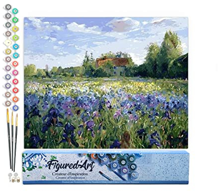 Figured'Art Peinture par Numéro Adulte A la Campagne - Activité Manuelle Kit de Loisir Créatif DIY Numéro d'Art Complet - 40x50cm sans châssis en bois