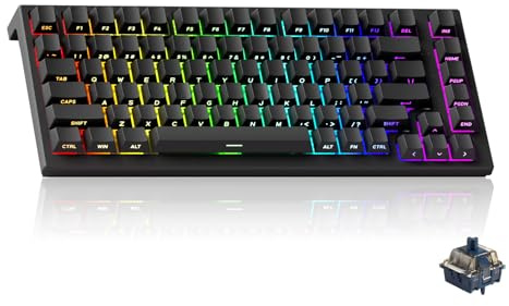 Akko TAC75 Rapid Trigger HE Gaming-Tastatur, 75% US-Layout, kabelgebunden, Hall-Effekt-Tastatur mit Magnetschalter, Einstellbarer Ansprechzeit, Snap-Tap (Schwarz glänzend, Astrolink-Schalter)