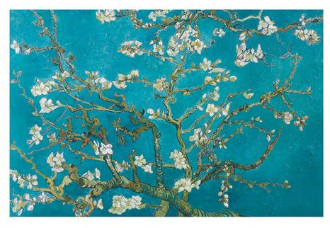 Kunstdruck, Poster Almond Blossom San Remy 1890 von Vincent van Gogh, 70 x 50cm, Kunst, Kuenstler, Bild, Poster, Impressionismus, Soziale Einrichtungen, Blumen, hochwertige Ware - Art Galerie Shop