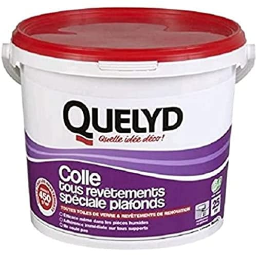 Quelyd Colle tous Revêtements Spéciale Plafonds - Pâte - Seau de 6 kg