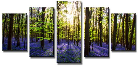 bestpricepictures 200 x 100 cm Bild auf Leinwand Lavendel Wald 6319-SCT deutsche Marke und Lager - Die Bilder/das Wandbild/der Kunstdruck ist fertig gerahmt