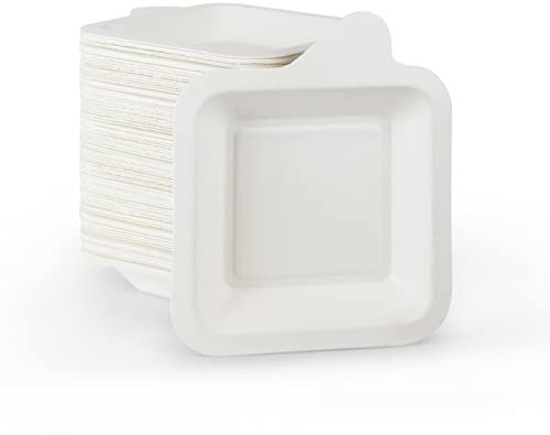 Upper Midland Products Small Paper Plates 4 Inch - 4 Inch Paper Dessert Plates Biodegradable | White (White - 100)