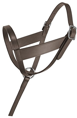 212 Main Lexington Leather Foal Halter