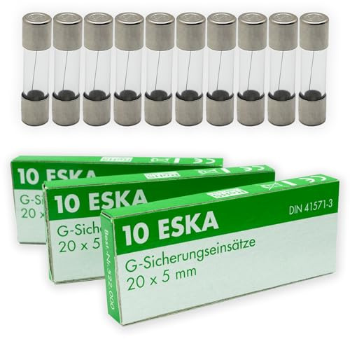 ESKA 800mA Feinsicherungen 5x20mm Glassicherung (0,8A) - Träge Auslösecharakteristik für 220V / 230V / 250V AC | G-Sicherungseinsätze | 10 Stück | Eska Nr. 522.500