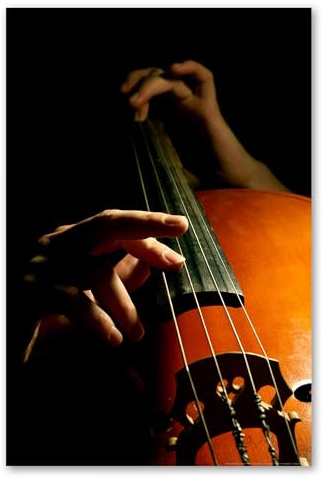 Postereck - 0101 - Kontrabass, Musik Klassik Instrument Rock Jazz - Wandposter Fotoposter Bilder Wandbild Wandbilder - Poster - DIN A4-21,0 cm x 29,7 cm