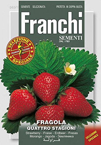 Franchi Sementi DBOS63-1 Fresa Quattro Stagioni (semillas de fresa)
