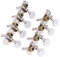 Guitar Machine Heads Mandolin Tuning Pegs, Mandolin Tuning Pegs Tuning Machines,Mandolin Tuners Tuning Pegs Tuning Keys for Mandolin Banjo and 8 String Guitars Instruments