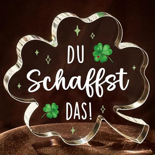 Du Schaffst Das Geschenk, Mutmacher Geschenk – Glücksbringer Acryl Deko Bei Krankheit und Prüfung, Positive Geschenke für Frauen Familie Freunde Kollege