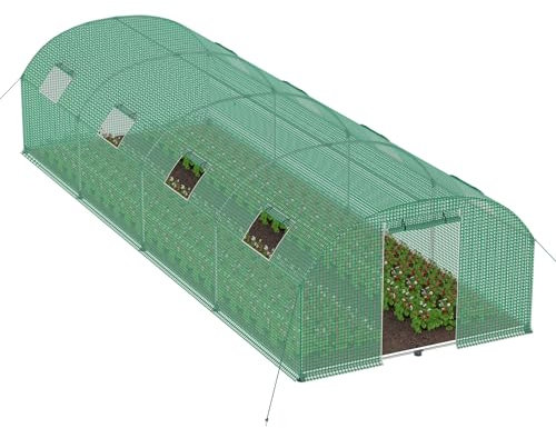 LZQ Serra in pellicola per giardino, 3 x 8 x 2 m, resistente ai raggi UV e all'inverno, 24 ㎡, con finestra, porta e telaio rinforzato, verde