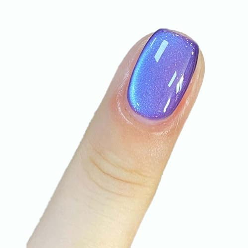 9D Cat Magnetic Eye Gel Nail Polish Holographic Rainbow Blue Purple Soak Off U V LED Gel Polish Nail Art Design Manicure Salon DIY Home 5ML