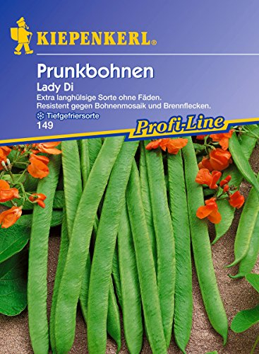 Sperli Gemüsesamen Prunkbohnen Lady Di, grün