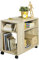 SoBuy Table d'appoint avec roulettes, Table roulante à 2 Niveaux avec étagères de Rangement, Bibliothèque Mobile pour Salon, Chambre, Bureau, L70 x P35 x H60cm Naturel FBT34-N