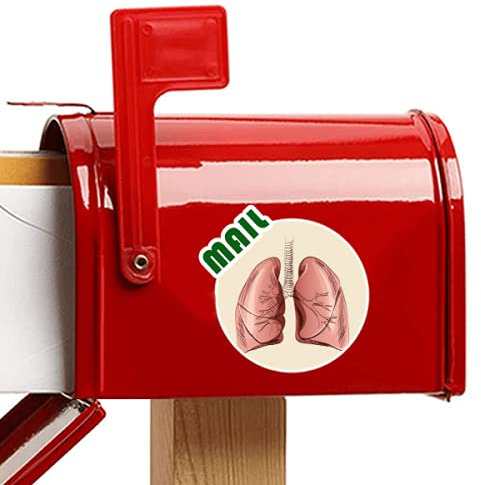 Beauty Gift Organ Lung Human Illustration Aufkleber Briefkastenaufkleber Kleber