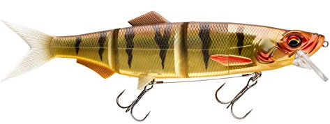 Prorex Hybrid SB250 Perch
