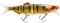 Prorex Hybrid SB250 Perch