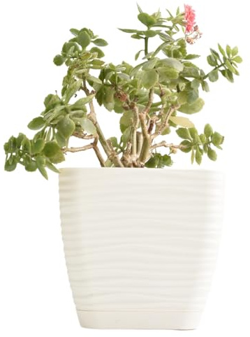 B2C Plant Pot Flowerpot Square Plastic Modern Decorative Wave Grooves Textured Elegant & Modern With Saucer (Cream, 23cm)