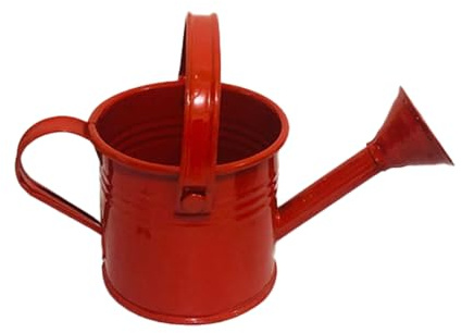 dijiusidy Mini Gießkanne für Kinder, Metall Gießkanne, rosa, kleine Metall Gießkannen, Mini Wasserflasche mit Griff, E