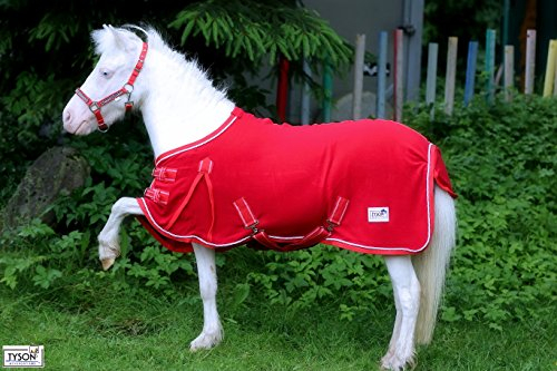 Abschwitzdecke ROT Knallrot Minishetty Mini Shetty 60 65 70 75 80 85 90 95 100 Tysons Breeches Minipony Lina (65)