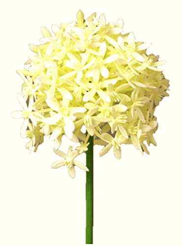 Kunstblumen Allium 64cm. Farbe weiß Weiss Creme