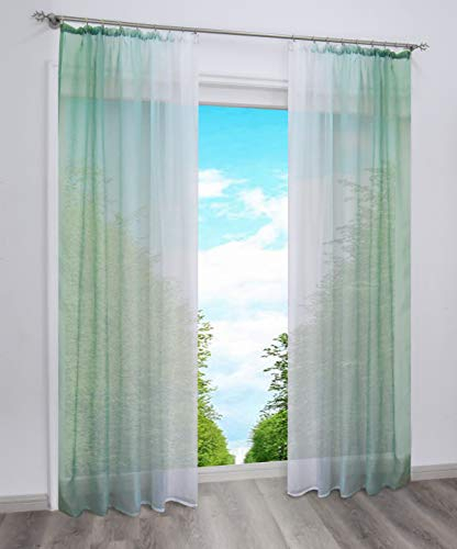 BAILEY JO 2er-Pack Gardinen mit Verlauf-Farben Muster Vorhang Transparent Voile Vorhänge mit Kräuselband (BxH 140x245cm, Grün)