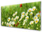Tulup Glasbilder 100x50cm - Wandbild Druck auf Glas XXL Panorama-Bild Wandbilder aus Echt-Glas Sicherheitsglas Kunstdruck für Küche Wohnzimmer Gänseblümchen Natur