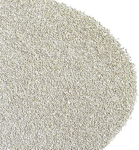 GRAMIGNA (CYNODON DACTYLON) CON RHIZO | Tappeto molto denso e verde scuro, Buona resistenza alla siccità e all'ombreggiamento, Ottima resistenza al calpestio | Il Contadino - Antiche Sementi (5 Kg)