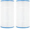 Doheny's Filtres de rechange PA901 pour piscine et spa Hayward StarClear Plus C900, Sta-Rite PXC-95 Repl