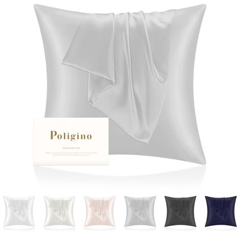 Taie Oreiller 100% Soie 65 x 65cm,Deux Côtés Taie d'oreiller en Soie de Qualité Supérieure 22 Mommes,Taie d'oreiller Hypoallergénique est Utilisée pour Protéger Les Cheveux et la Peau,Argenté