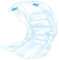 TRIXIE Windeln für Rüden - Größe XS - Tailenumfang 20–42 cm - 12 Stück - Hygiene bei Inkontinenz - Gummiband und Klebeverschlüsse - absorbierende Vliesfüllung - 23640