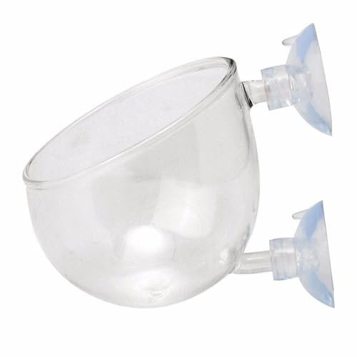 GAOFESA Coppe per piante in vetro con ventose per piantare l'acqua Supporto per piante paesaggistiche in vetro trasparente con ventose