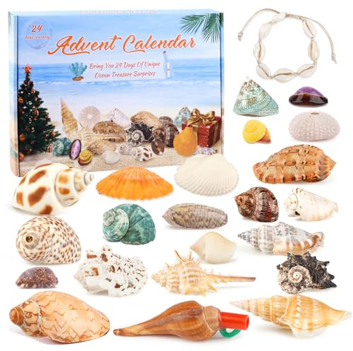 Muschel Adventskalender 2025, Weihnachts Countdown Kalender mit Sammlerstück Muscheln Gefälligkeiten Kollektion Partygeschenke Neueste 24 Feiertags Adventskalender für Mädchen Jungens Meeresliebhaber