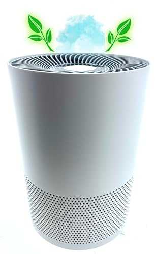Quigg Luftreiniger EPA-Filter und Aktivkohlefilter Lufterfrischer 30W Sensor (Weiß)