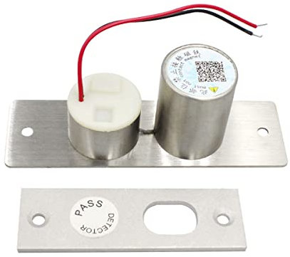 iFutniew Verrou de porte électrique en acier inoxydable avec solénoïde 12 V CC - 2 fils