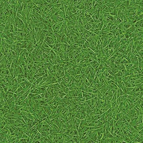 Sol Vinyle Nature - Imitation Gazon - Rouleau de 4m x 3.00m