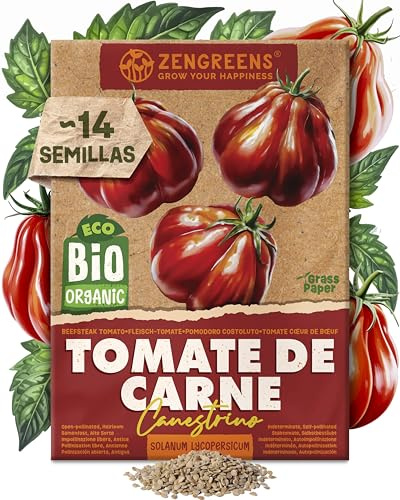 ZenGreens® - Bio Fleisch-Tomate Samen (Canestrino) - Fleisch-Tomatesamen - Gemüsesamen für den einfachen Anbau im Garten, Balkon oder Hochbeet - Saatgut - Paradeiser
