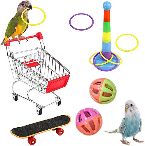 5 Pièces Jouet Perroquet, Jouets pour Oiseaux, Jouets Colorés pour Perroquets, Contient Panier, Anneau D'entraînement, Planche à roulettes, Cloche, pour L'entraînement des Oiseaux (Couleur Aléatoire)