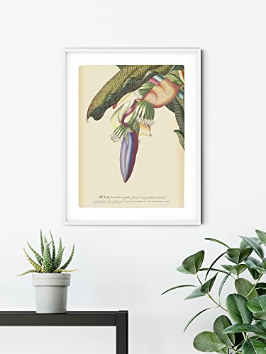 Komar Wandbild - Banana Heart - Größe: 50 x 70 cm - Poster, Kunstdruck, Dekoration, Wohnzimmer, Schlafzimmer (ohne Rahmen)